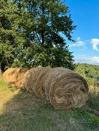 Fieno per Animali (rotoli)