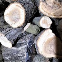 Legna fresca  olivo  selezionata per stufe ecc.
