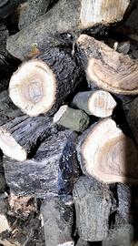 Legna fresca  olivo  selezionata per stufe ecc.