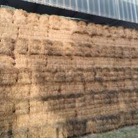 fieno in presse per cavalli,pecore e conigli 