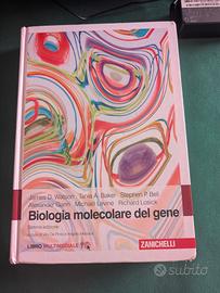 La biologia Molecolare del Gene