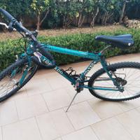BICICLETTA MTB UOMO TORPADO