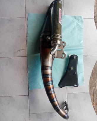 giannelli reverse minarelli
