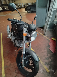 DUCATI Monster 600 Dark