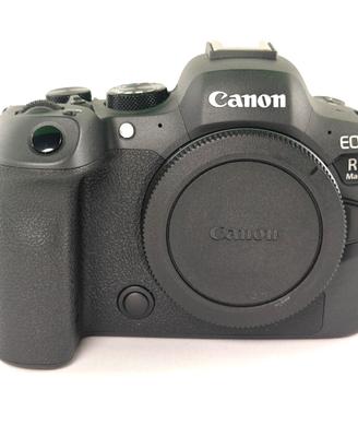 Canon Eos R6 Mark II - 5.542 Scatti