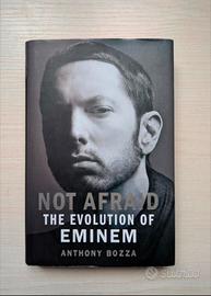 Not Afraid the evolution of Eminem 