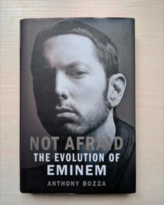 Not Afraid the evolution of Eminem 