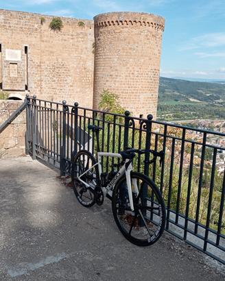 Bici carbonio Tarmac  tg 54
