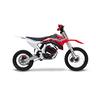 minicross-elettrico-lem-motor-a14-pronta-consegna