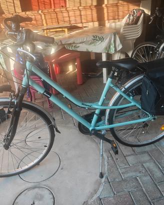 Bicicletta Donna Denver Westwood 