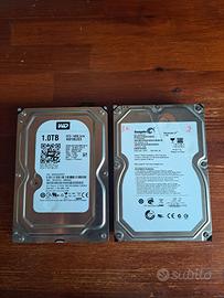 Coppia Hard Disk 1TB SATA - WD Blue & Seagate Barr