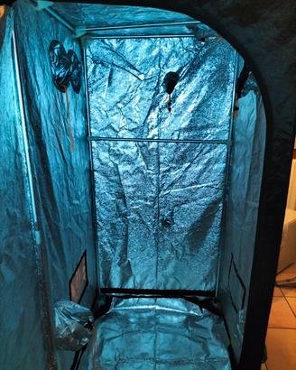 grow box 