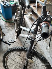 bicicletta 