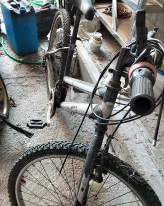 bicicletta 