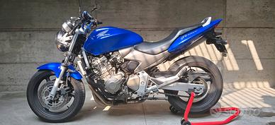 hornet 600 