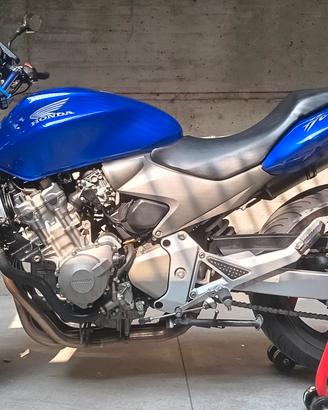 hornet 600 