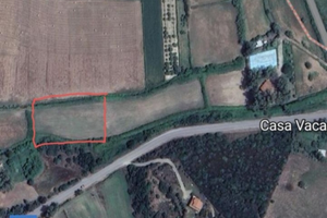 Terreno agricolo di 4685 mq in Sardegna