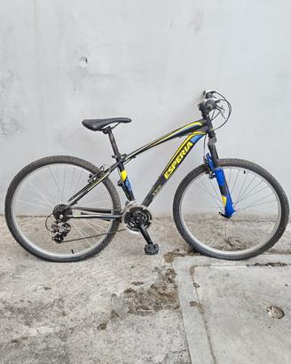 bicicletta con ruote da 24
