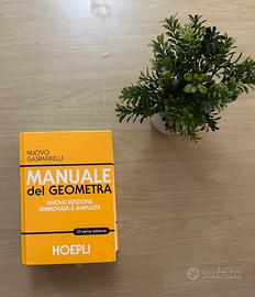 Manuale del geometra