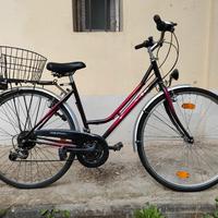 bicicletta donna 