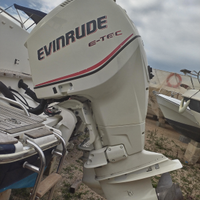 Evinrude 225 etec