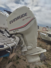 Evinrude 225 etec