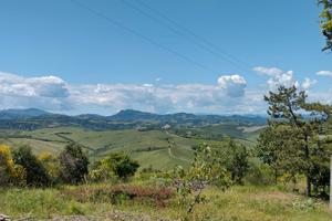 Terreno collinare a 15 Min da san lazzaro