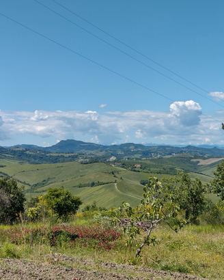 Terreno collinare a 15 Min da san lazzaro