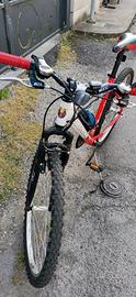 bicicletta 