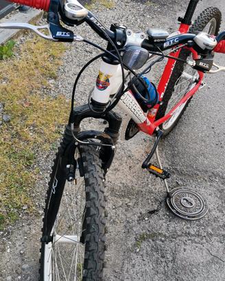 bicicletta 