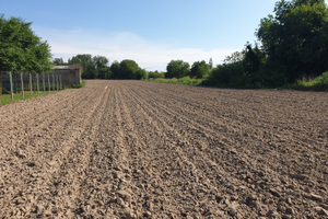 Terreno agricolo a Portoviro provincia Rovigo