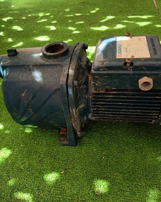 Pompa acqua Pedrollo 3CPm 80 0,6HP motore monofase