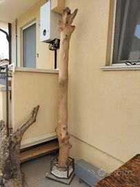 Tronco di mare (palma senza corteccia) e supporto