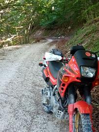 Honda Dominator anno '95