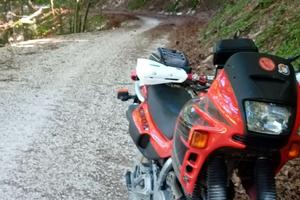 Honda Dominator anno '95
