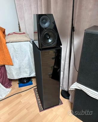 MERIDIAN DSP 6000 (attive)