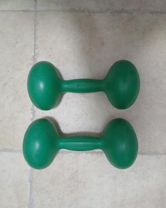Coppia di Manubri Fitness Verdi da 5 KG l'uno