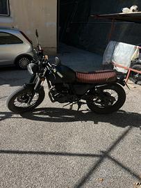 Mutt Mongrel 250