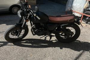 Mutt Mongrel 250
