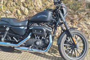 harley davidson iron 883 2014 