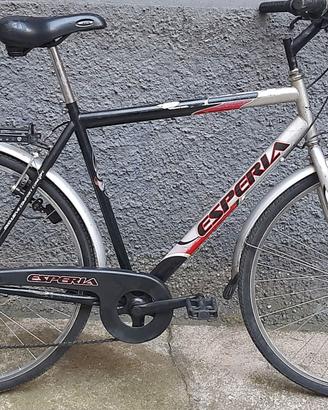 Bicicletta da uomo Esperia 28