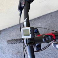 Bicicletta  specialized rockhopper 29