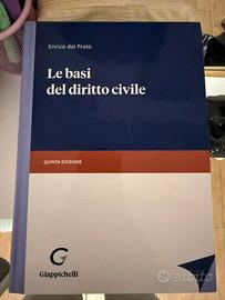 Libro Diritto Civile