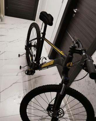 Mountain bike Lombardo – usata una sola volta
