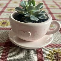 Decorazioni per la casa