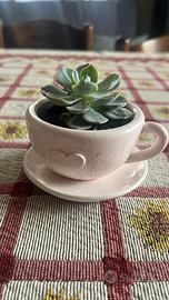 Decorazioni per la casa