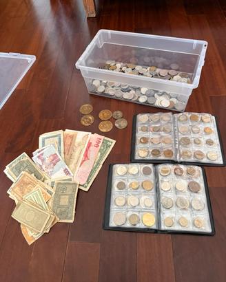 Collezione numismatica