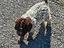 Immagine 3