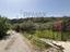 Immagine 22