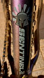 DaBomb Sentinel 29er